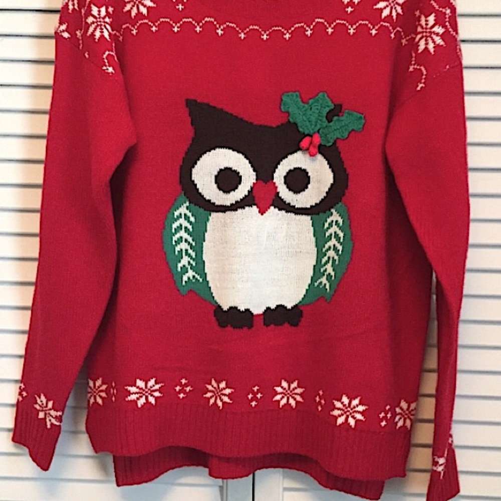 🎄 NWOT "It's Our Time" Christmas Owl Crewneck Sweater (L)🎄 - Picture 4 of 9